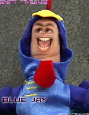 cpbluejay.jpg