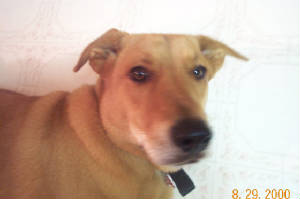 dcp_0473.jpg
