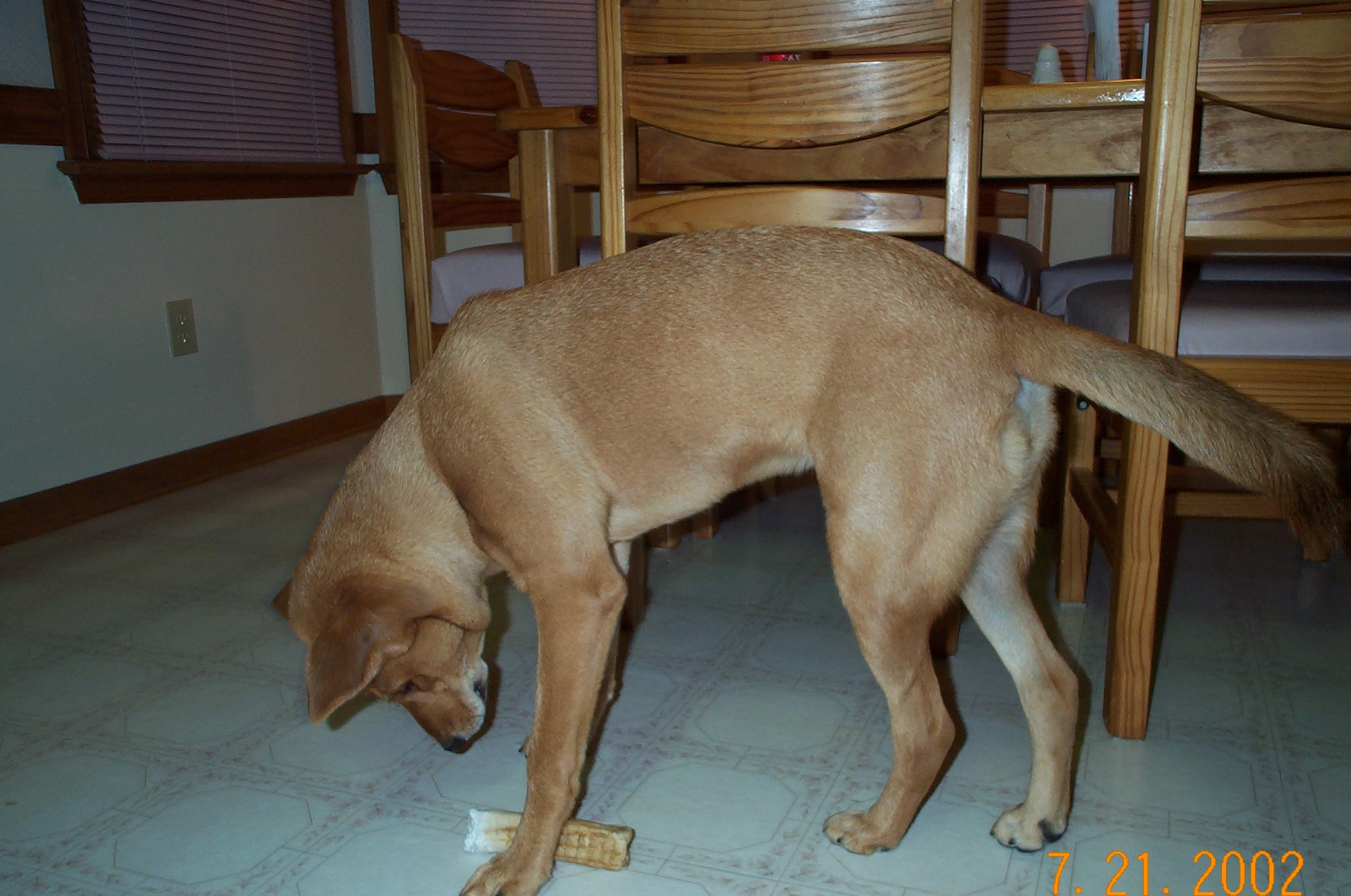 dcp_0328.jpg